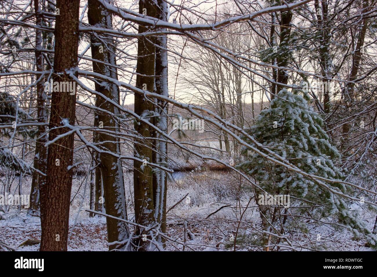 April Snow (4) (26338274075 Stock Photo - Alamy