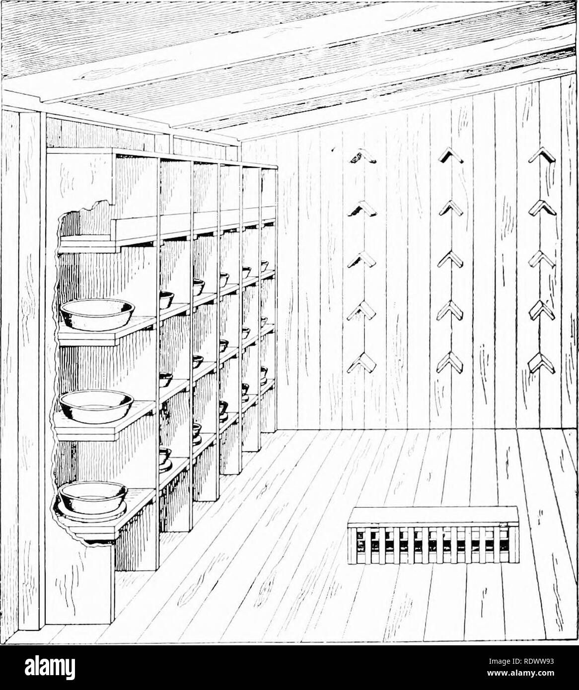 Poultry production. Poultry. PIGEONS AND GUINEA-FOWL 447 Tobacco 
