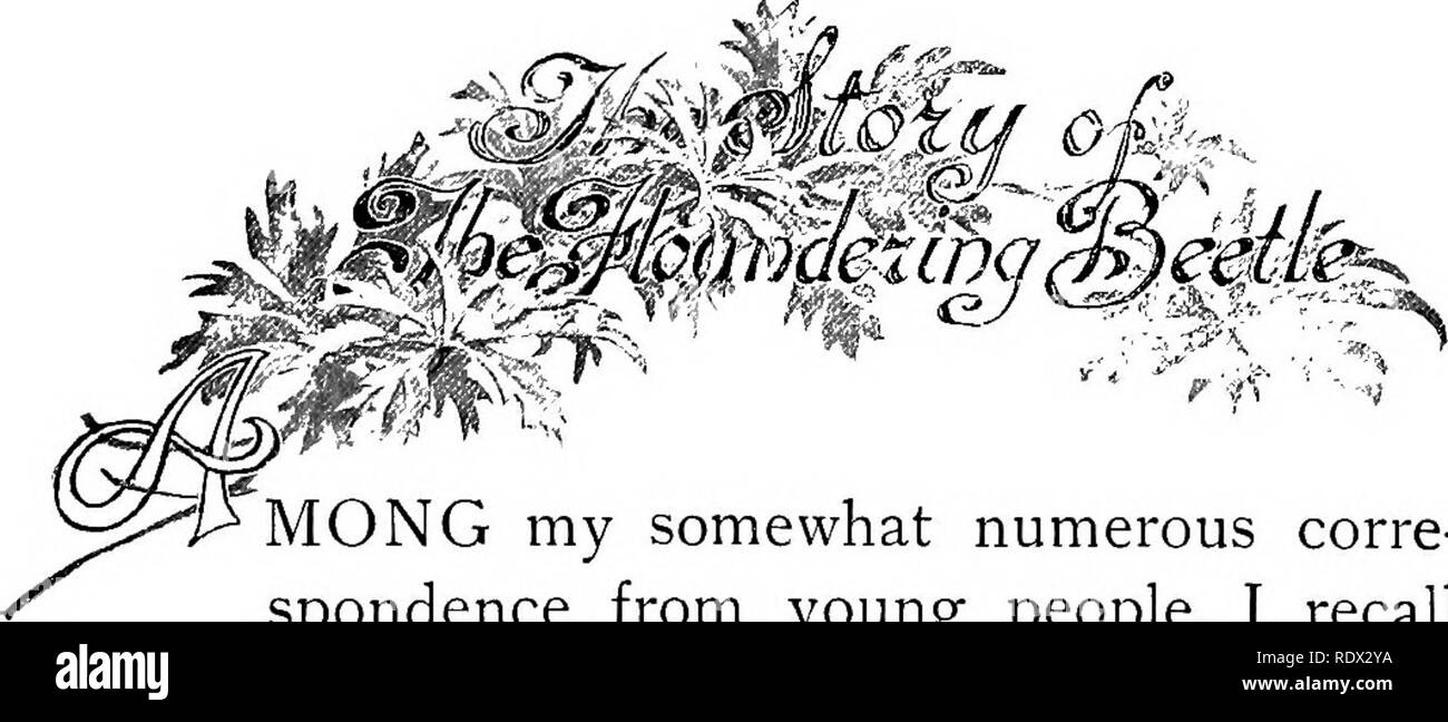 . Eye spy : afield with nature among flowers and animate things ...