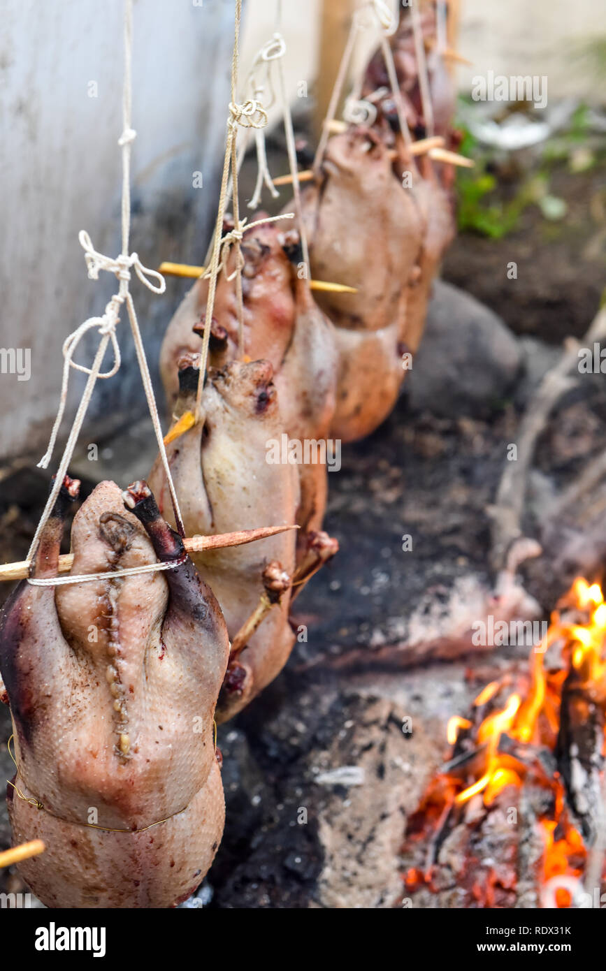 Geese roasting over an open fire , northern quebec Stock Photo