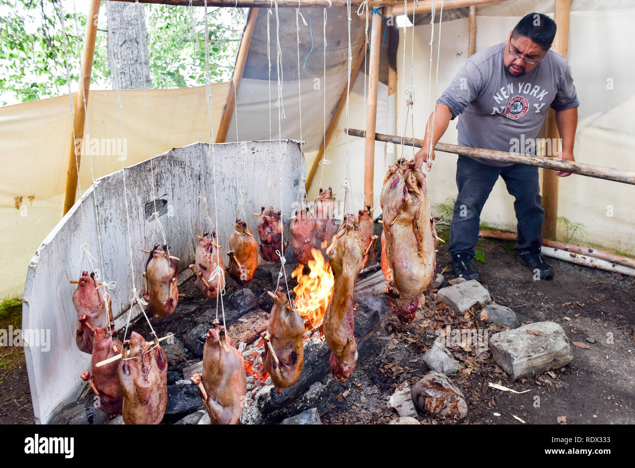 Indigenous man cooking wild meat over open fire, Northern Quebec, Canada Stock Photo