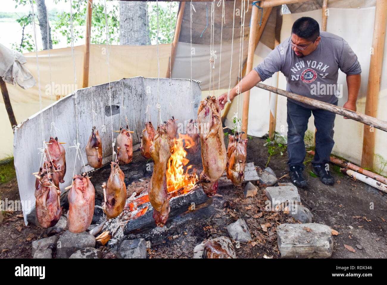 Indigenous man cooking wild meat over open fire, Northern Quebec