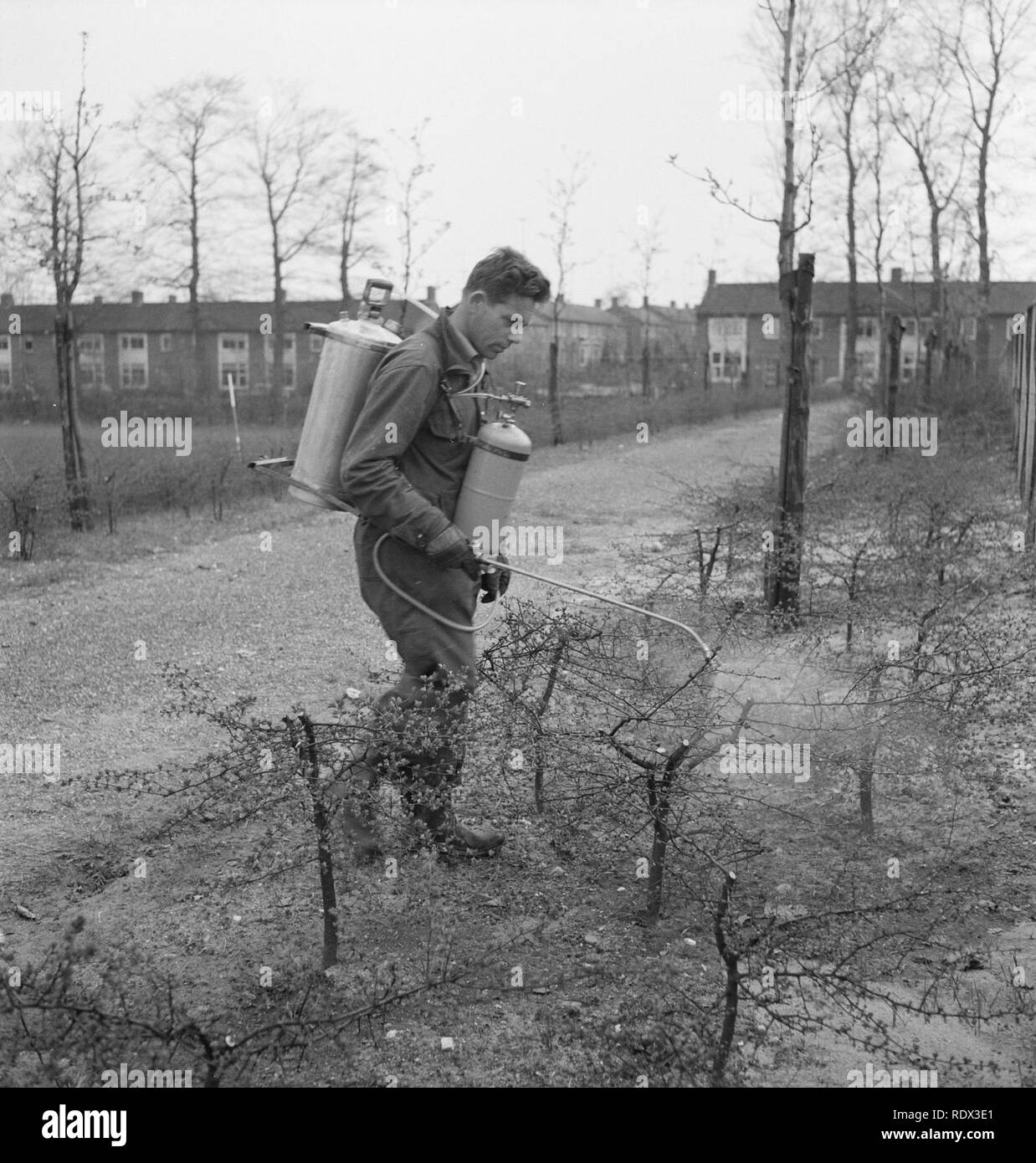 Paden hires stock photography and images Alamy