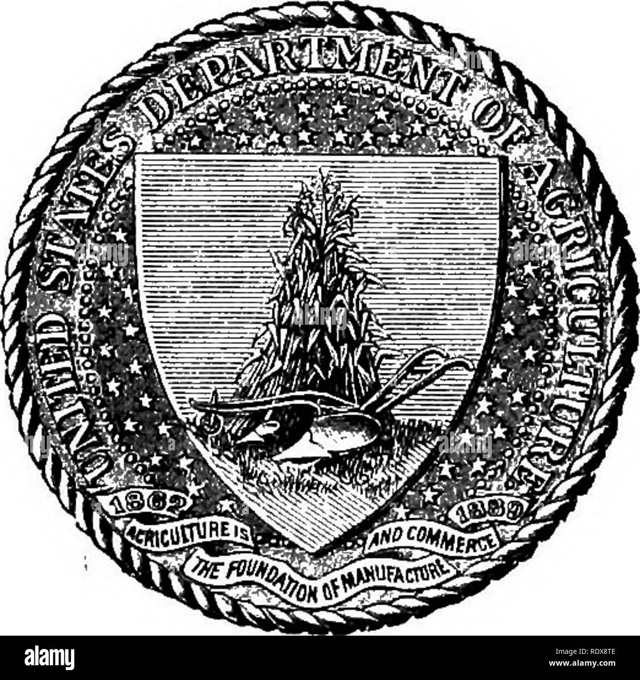 Beal seal hi-res stock photography and images - Alamy