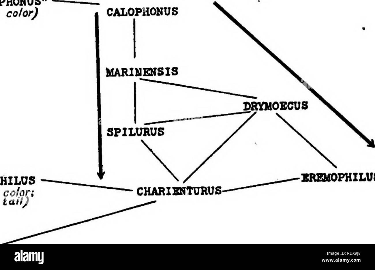 Color Relationships Black And White Stock Photos Images Alamy