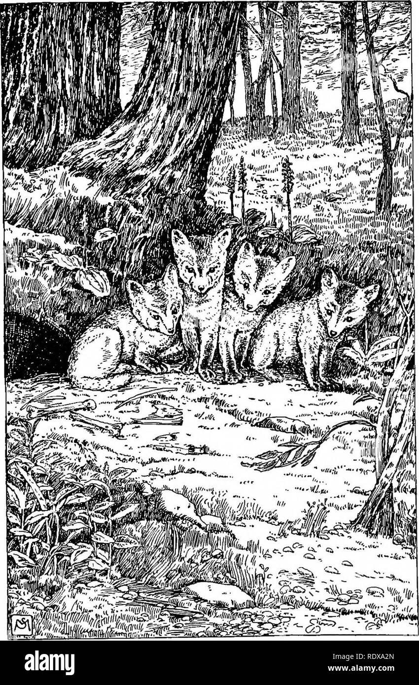 Schuyler fox Black and White Stock Photos & Images Alamy