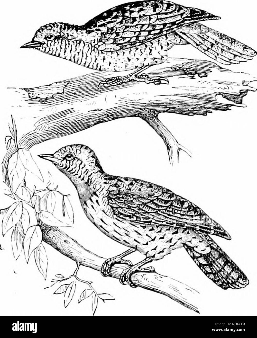 Protected orchards Black and White Stock Photos & Images - Alamy