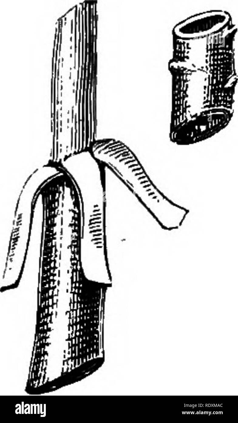 Peeling off cover Cut Out Stock Images & Pictures Alamy