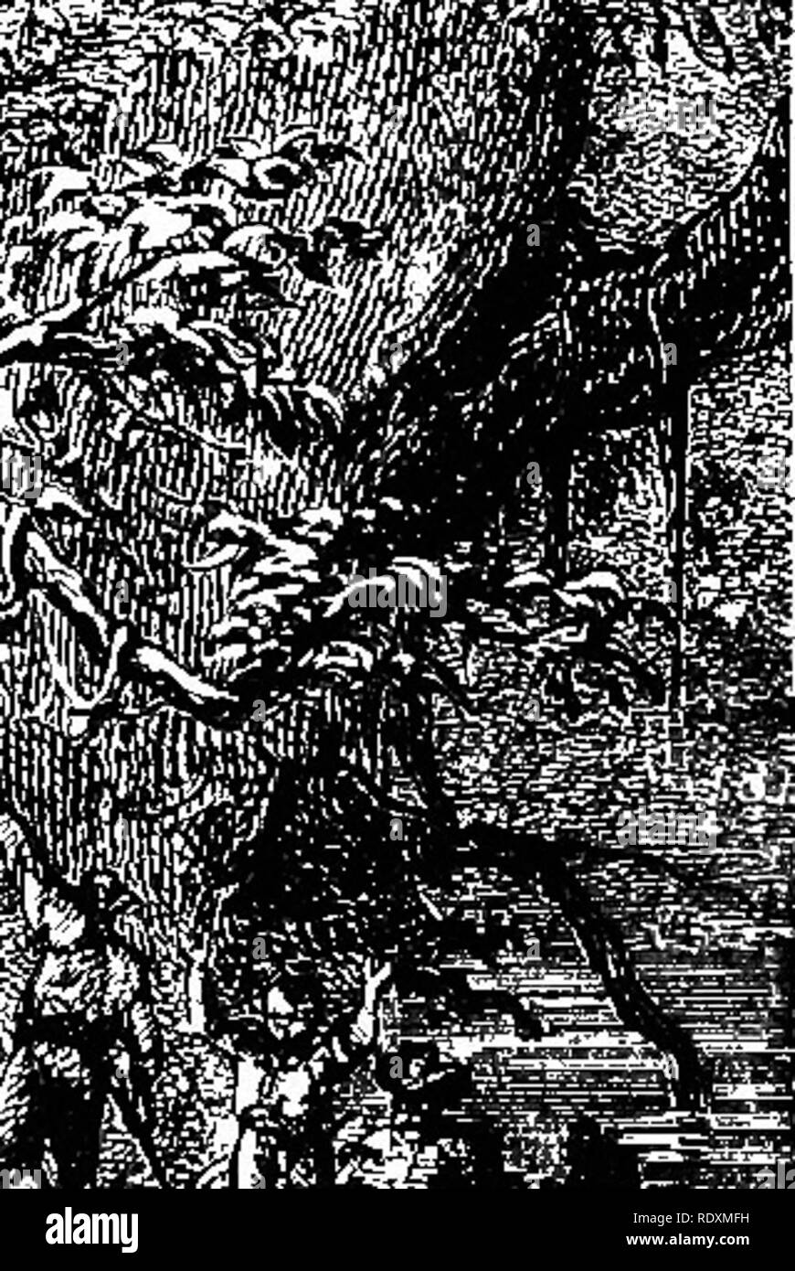 S lucien Black and White Stock Photos Images Page 2 Alamy 