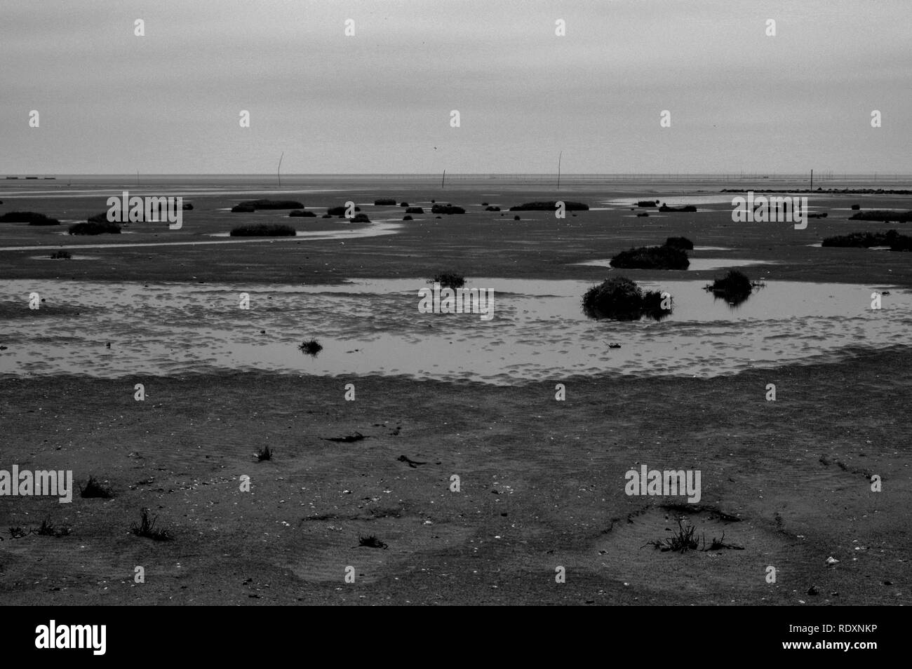 Beach Normandy old oyster farm Stock Photo Alamy