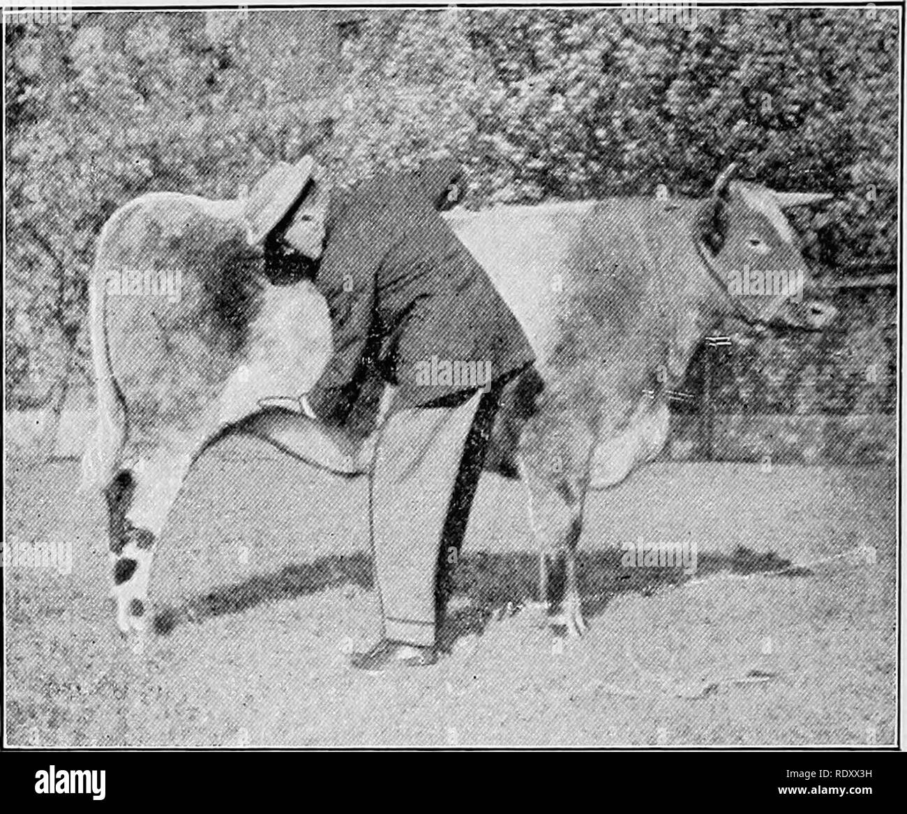 Judges indicated Black and White Stock Photos & Images Alamy