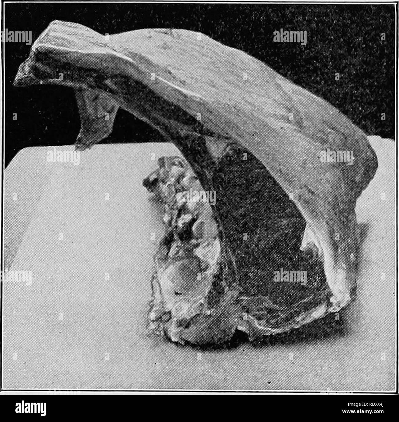 Graded beef Black and White Stock Photos & Images - Alamy