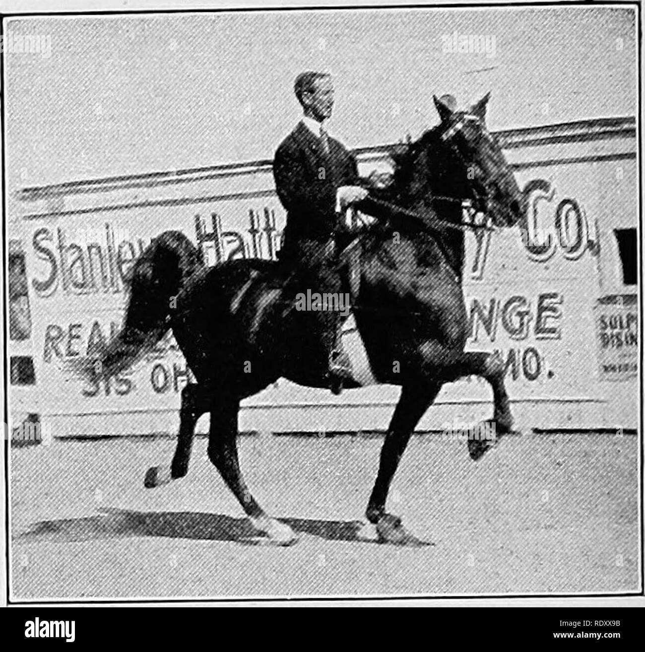 Draft horse and common horse hires stock photography and images Alamy