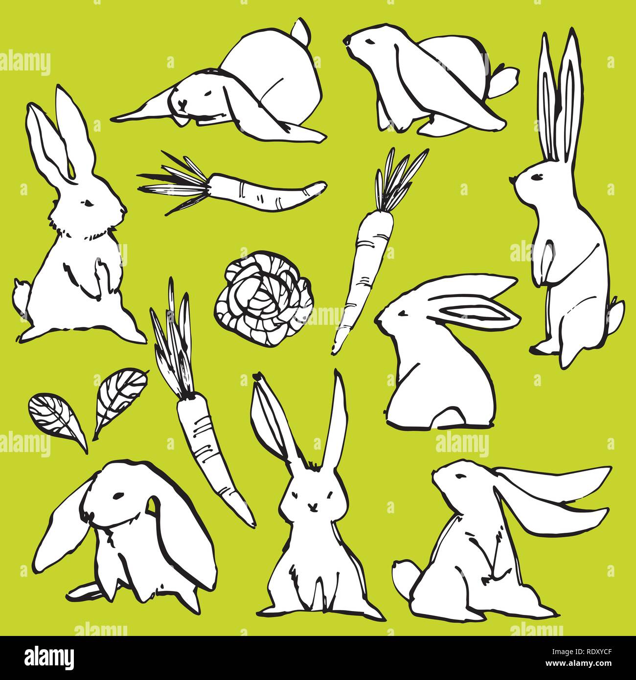 Collection of some cute rabbits, hand draw illustration. Draw vector ...