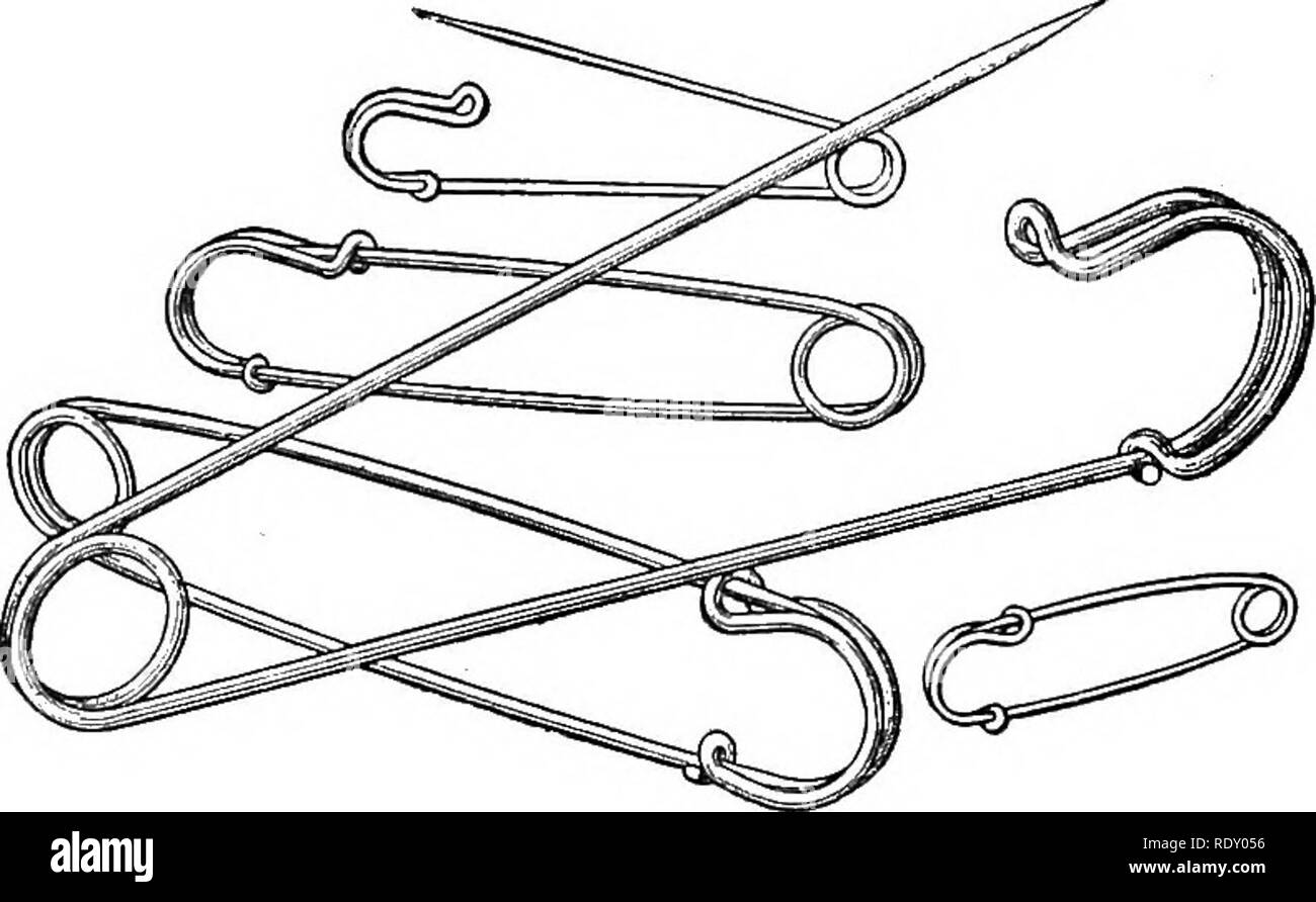 . Manual of operative veterinary surgery. Veterinary surgery. 100