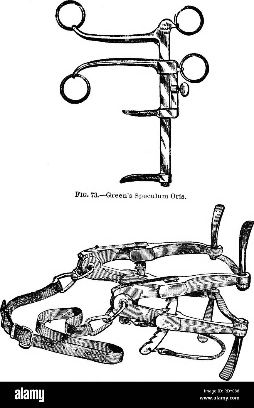 Mouth speculum Cut Out Stock Images Pictures Alamy