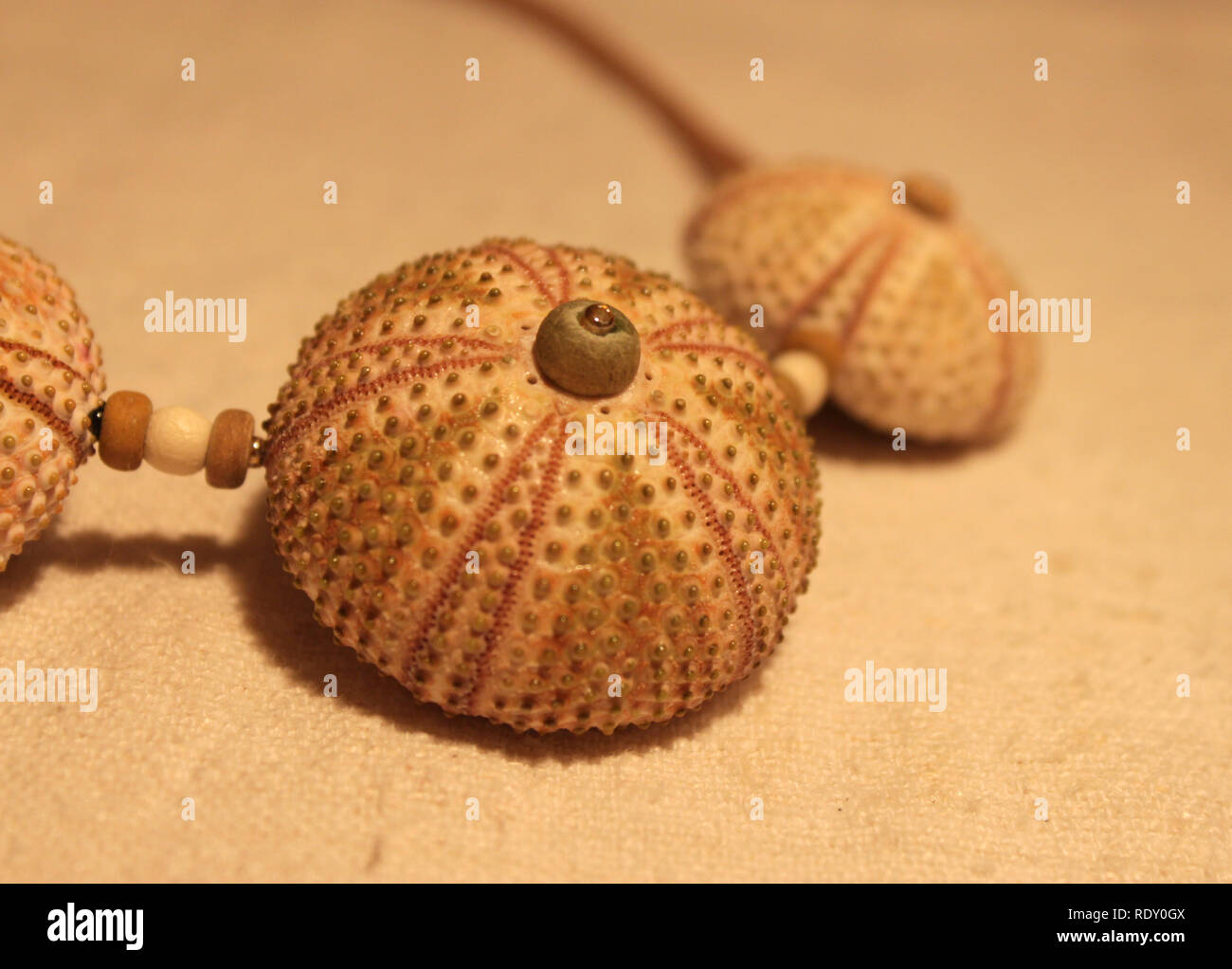 Handamde necklace made of natural materials (sea urchin shells 