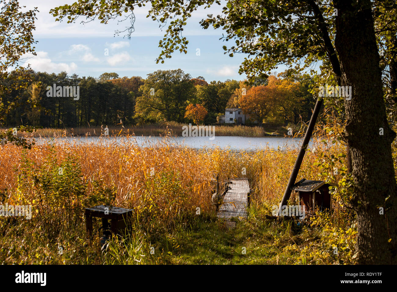 Red house in forest lake hi-res stock photography and images - Alamy