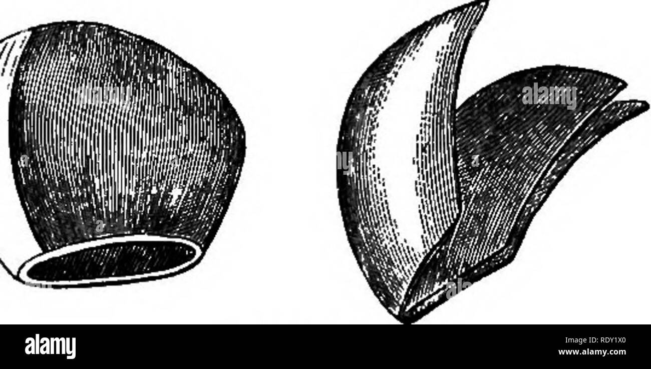 Accompa Stock Photos Accompa Stock Images Alamy