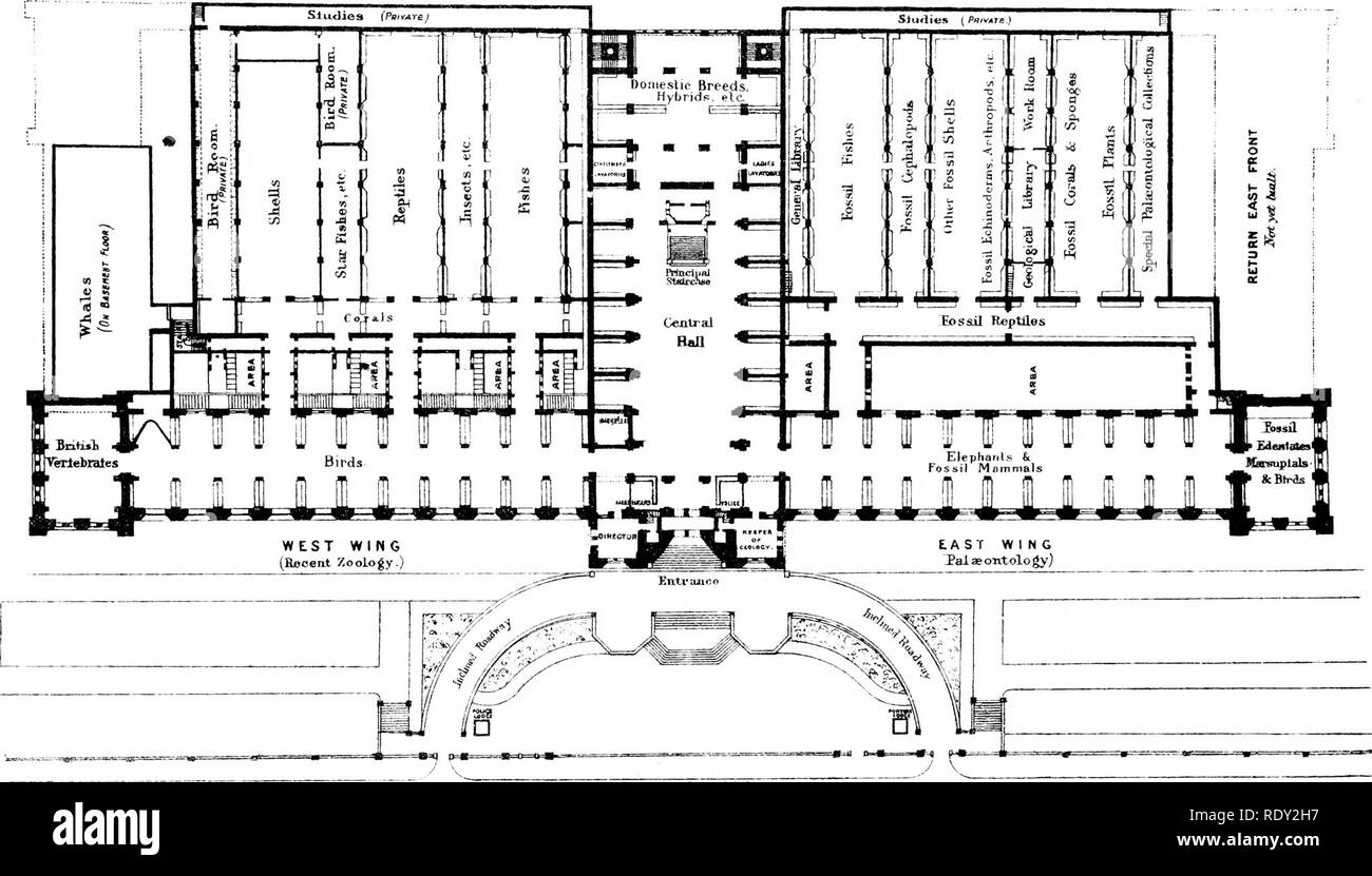 . A general guide to the British Museum (Natural History) ... With plans and a view of the building. British Museum (Natural History). BRITISH MFSEUM (millRAL HISTORY) Ground EIo or Scale of'i ftet.. Tm lbutcatf/£w Awrw* CifriiHuoii. Please note that these images are extracted from scanned page images that may have been digitally enhanced for readability - coloration and appearance of these illustrations may not perfectly resemble the original work.. British Museum (Natural History). London, Printed by order of the Trustees [by W. Clowes and Sons, Limited] Stock Photo