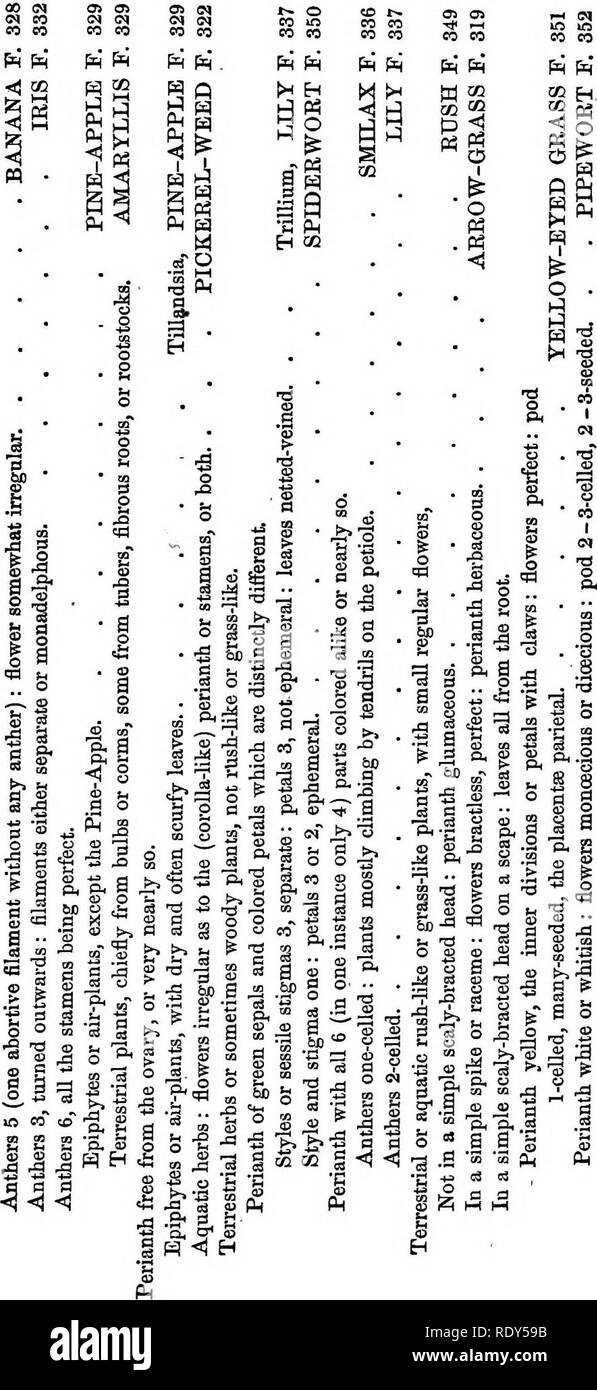 . Field, forest, and garden botany, a simple introduction to the common plants of the United States, east of the Mississippi, both wild and cultivated. Botany. ANALYTICAL KEY.. Please note that these images are extracted from scanned page images that may have been digitally enhanced for readability - coloration and appearance of these illustrations may not perfectly resemble the original work.. Gray, Asa, 1810-1888. New York, Ivison, Phinney, Blakeman Stock Photo