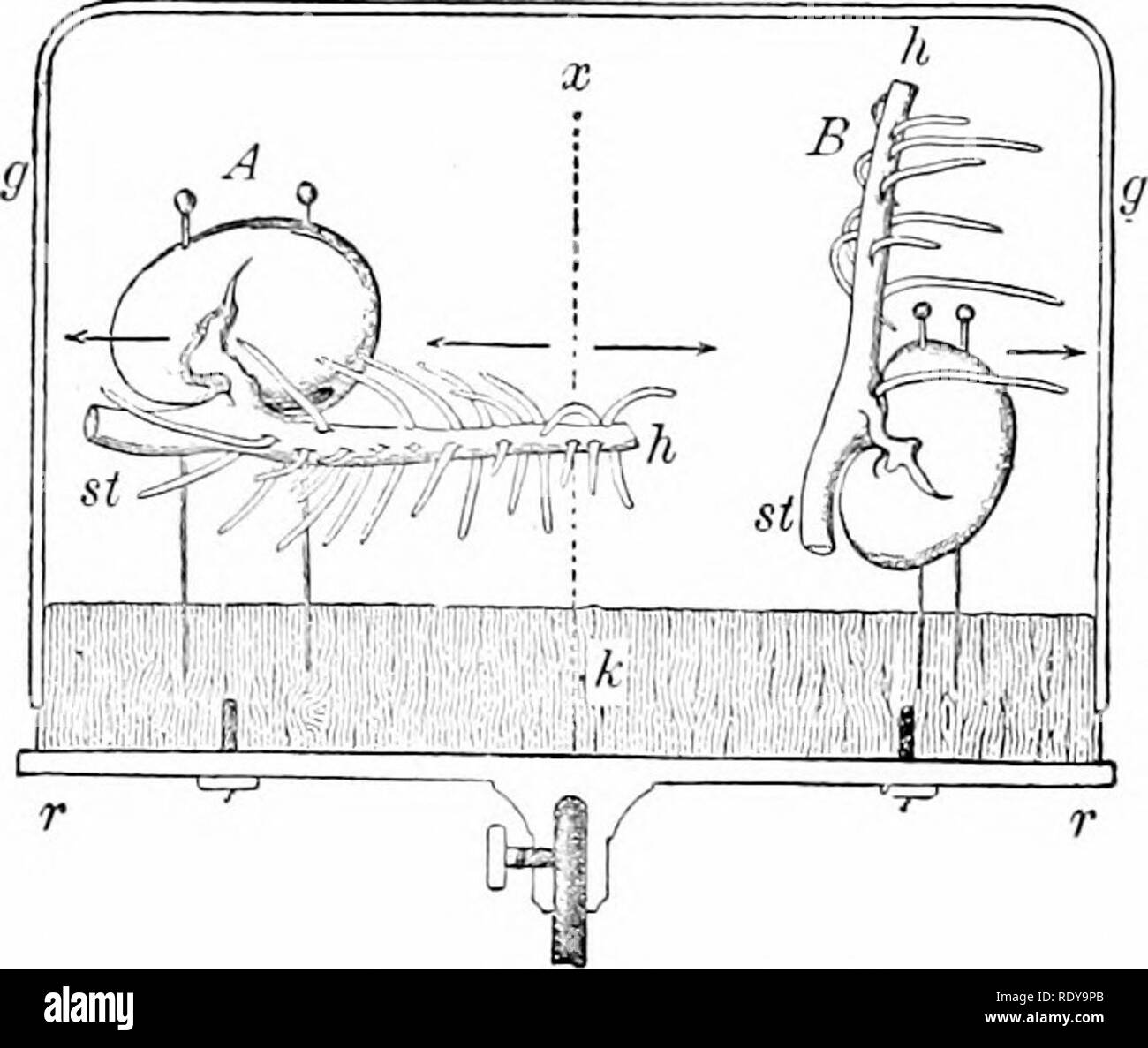 Geotropic hi-res stock photography and images - Alamy