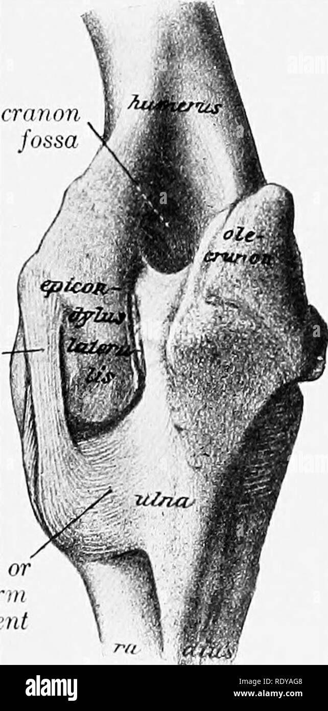 The gin joint Black and White Stock Photos & Images Alamy