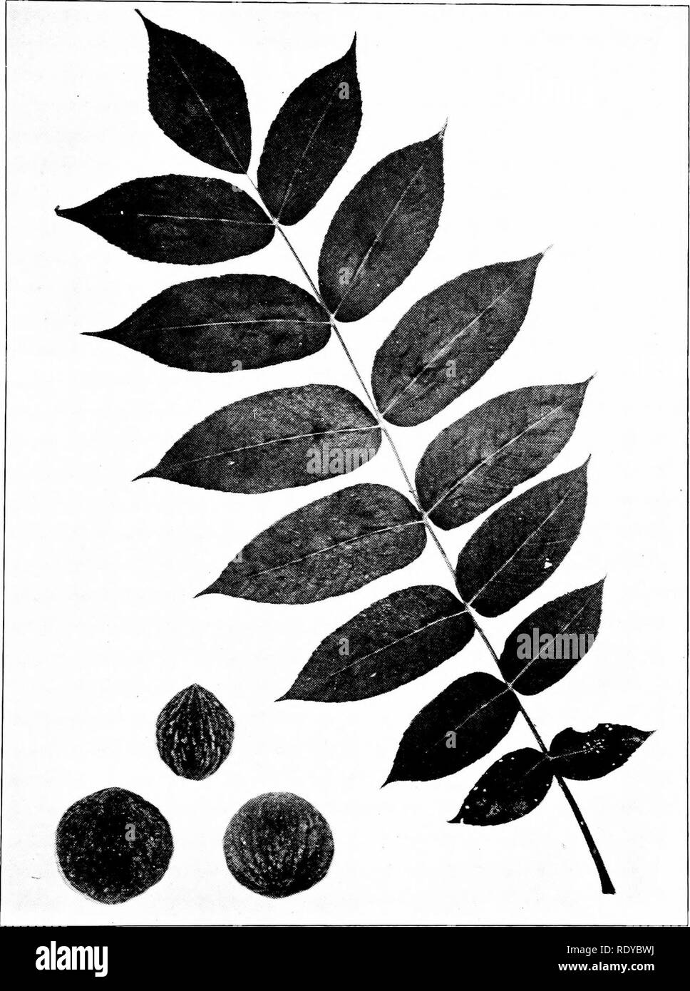 Eus Black And White Stock Photos Images Alamy