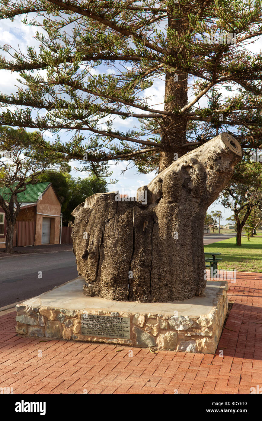 The fabled Black Stump at Cowell Eyre Peninsula South Australia Stock