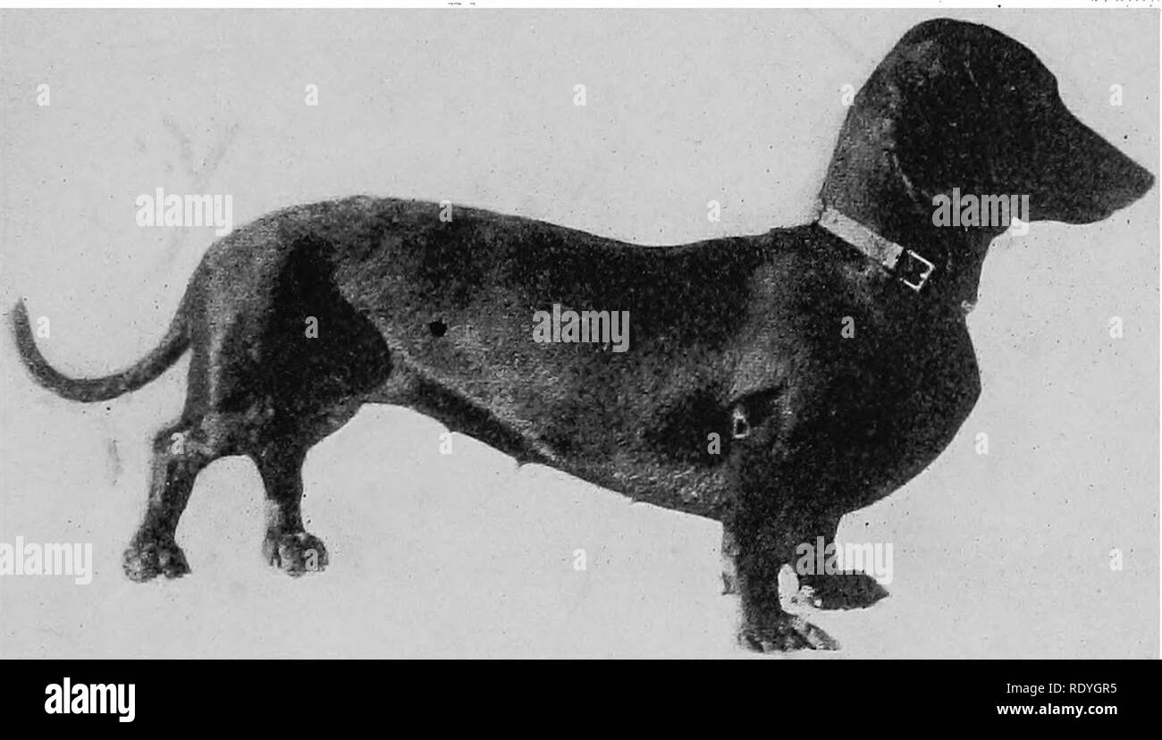 Bk L Black And White Stock Photos Images Alamy