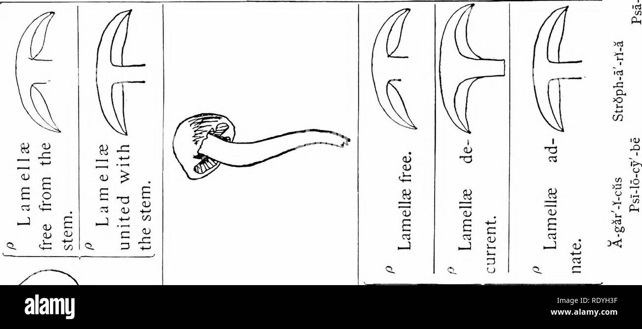 Page 273 M J A N High Resolution Stock Photography And Images Alamy
