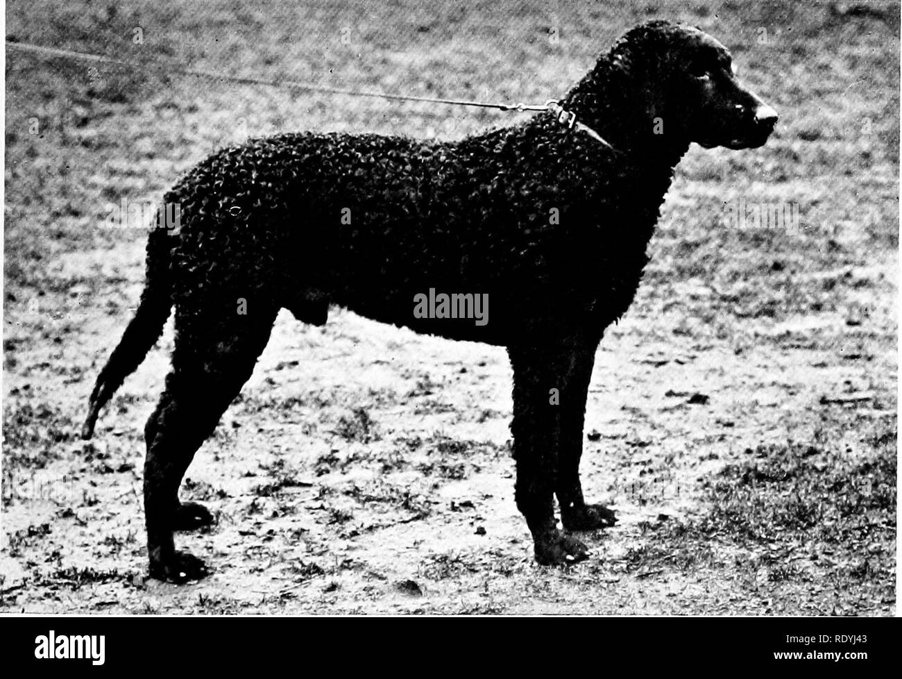 Urmston history hires stock photography and images Alamy