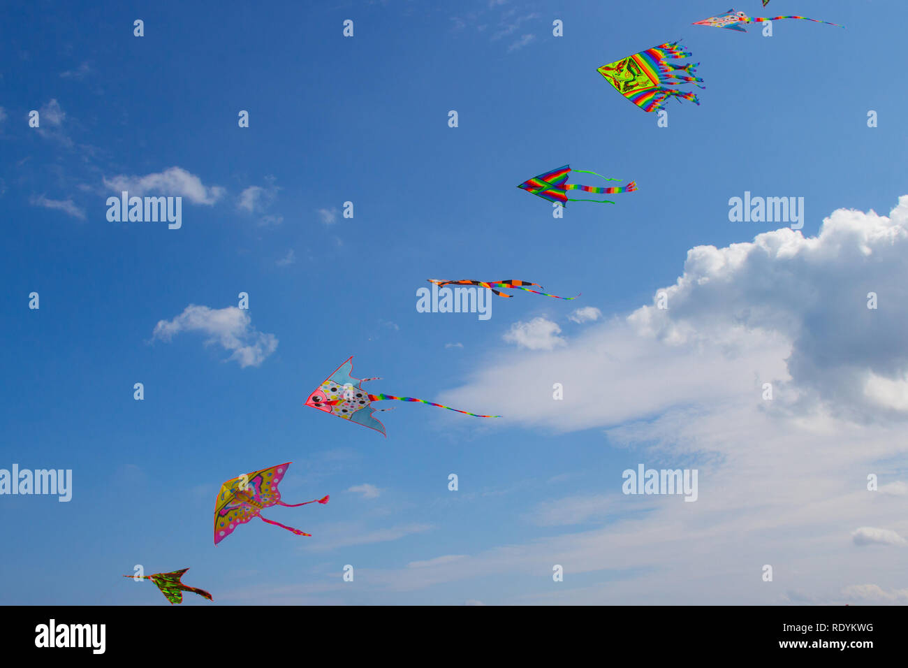 Beautiful kites hires stock photography and images Alamy