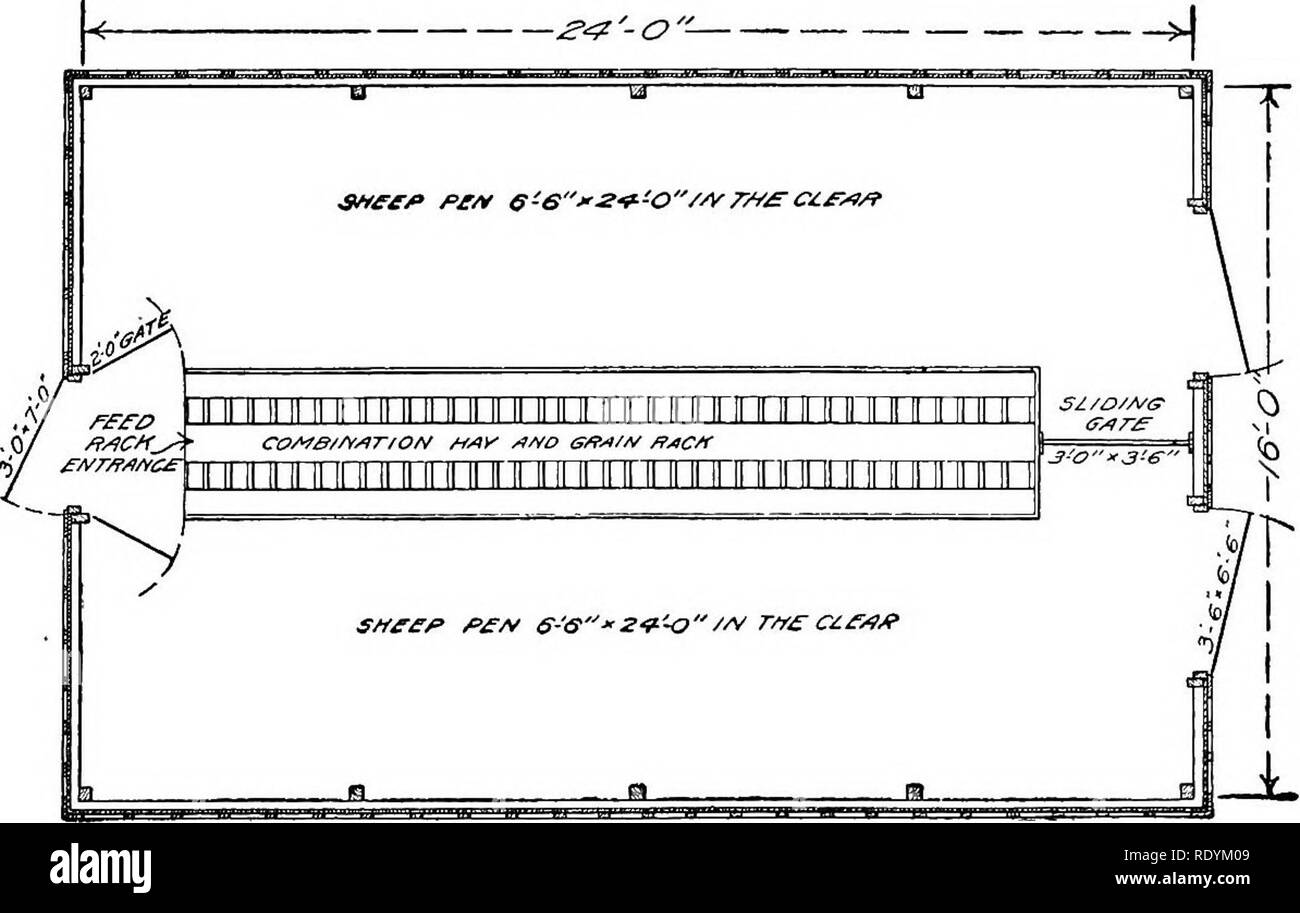 Productive Sheep Husbandry Sheep Feed Racks 439 Comfort Of The