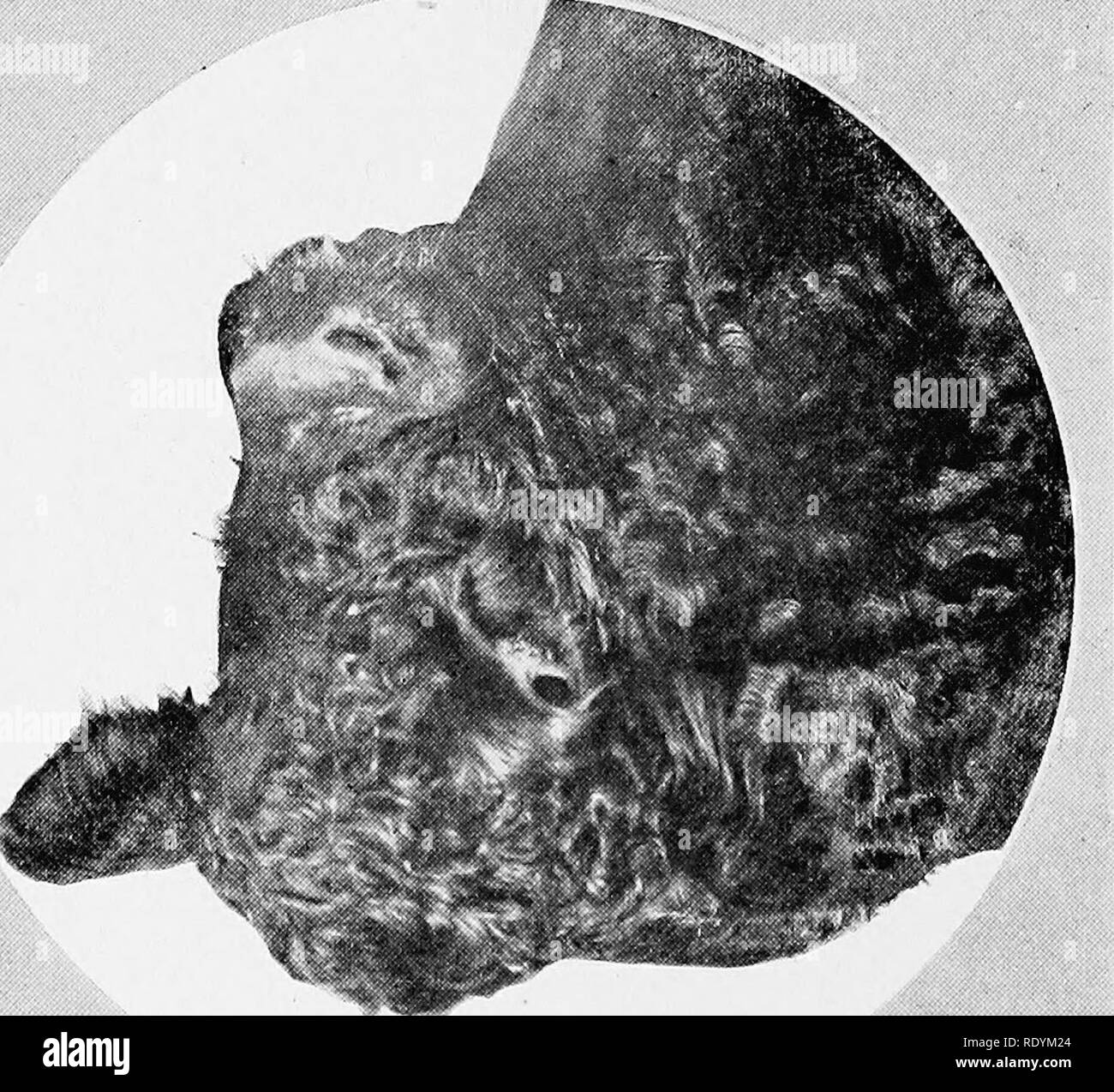 Yoyilgan oyoqlarning yaqindan korinishi