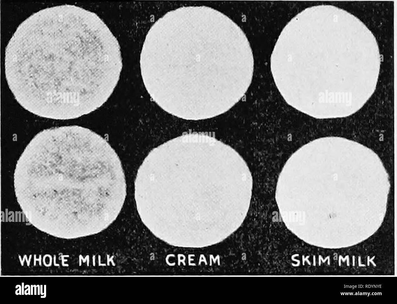 Milk Milk Physical And Chemical Examination Of Milk 205 Standards Are Prepared As Follows One Gram Of Pulverized Cow Manure Is Suspended In A Liter Of Filtered Or Distilled Water And