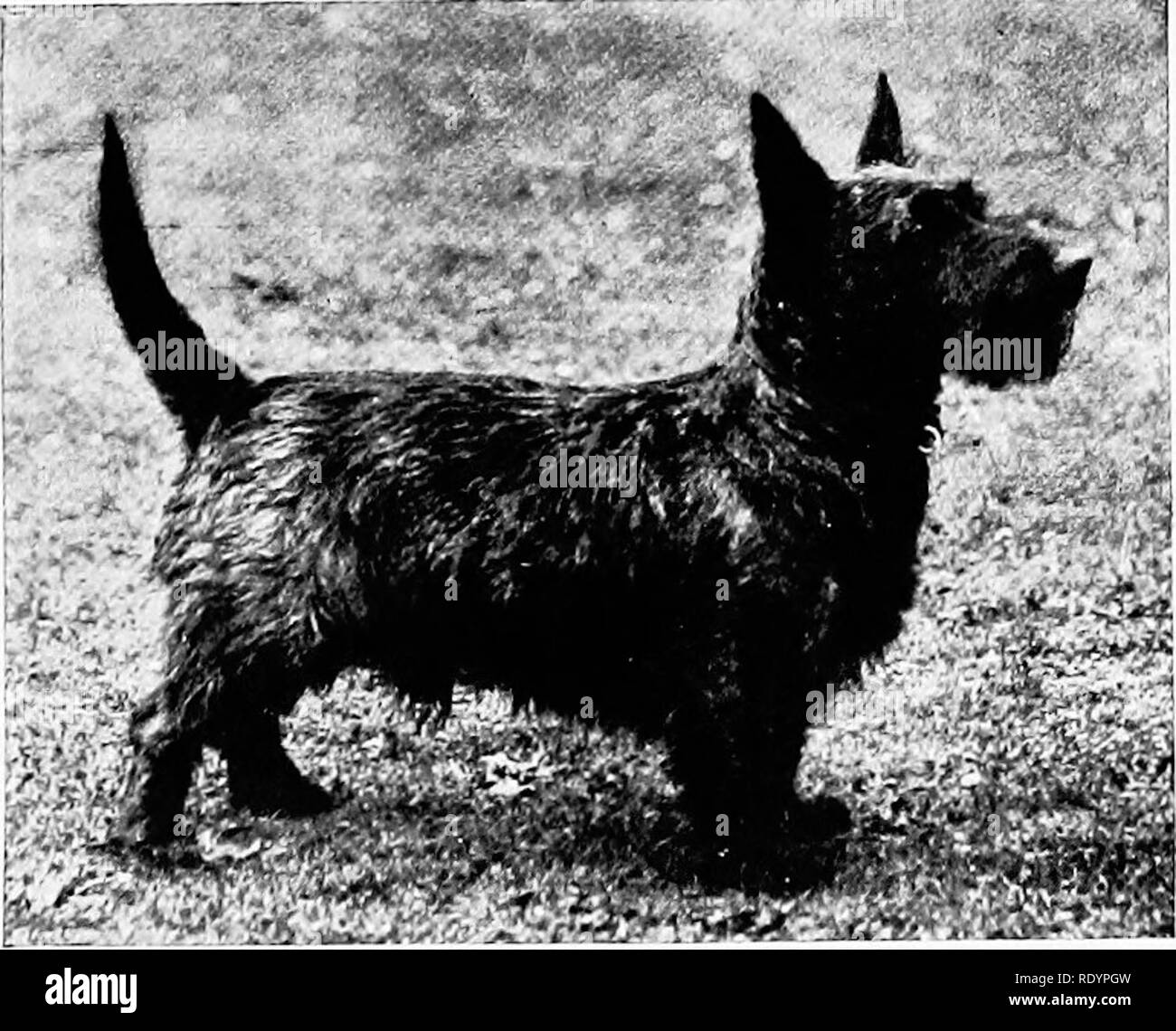 New stables Black and White Stock Photos & Images Alamy