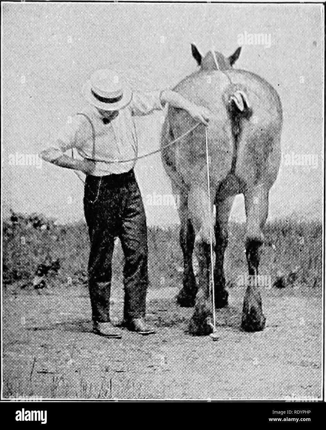 Buttock Black and White Stock Photos & Images Alamy