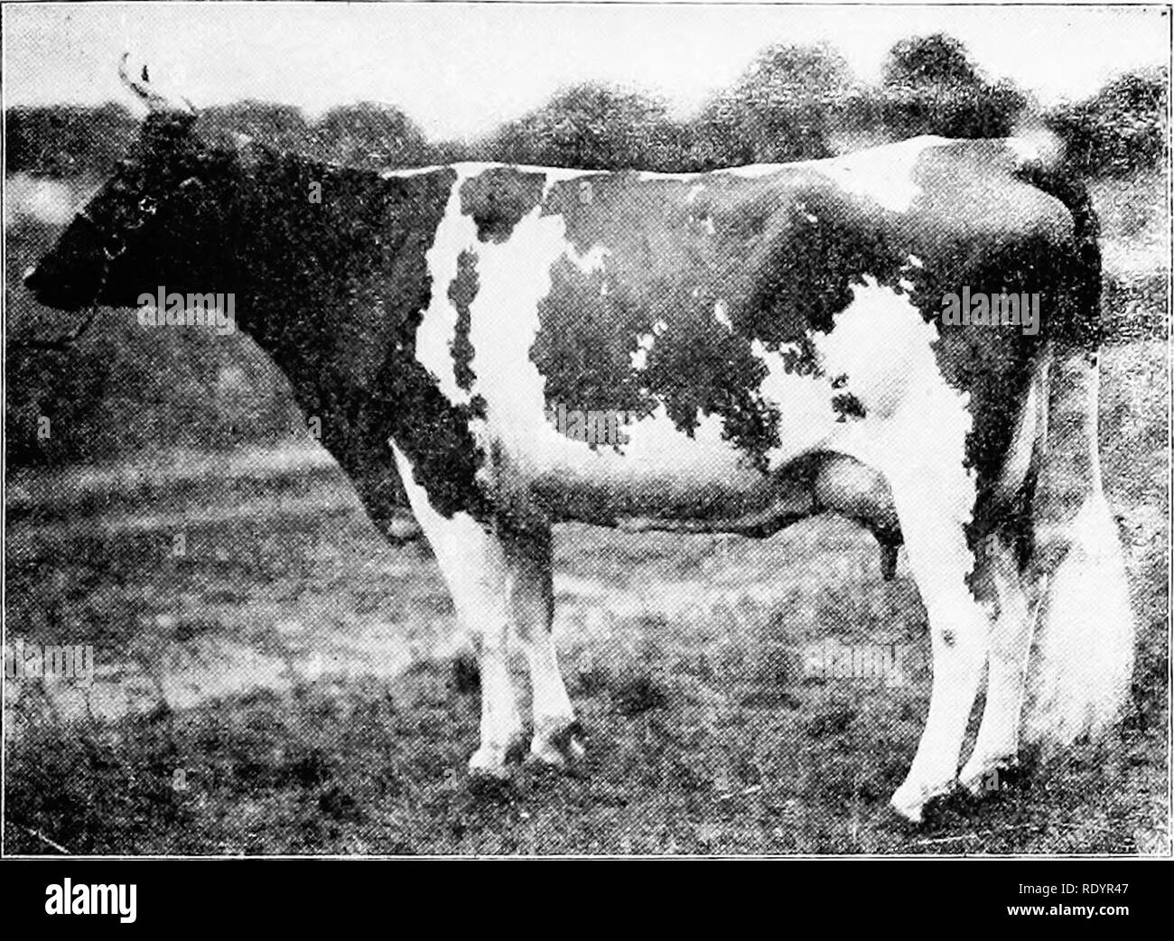 35 83 e hi-res stock photography and images - Alamy