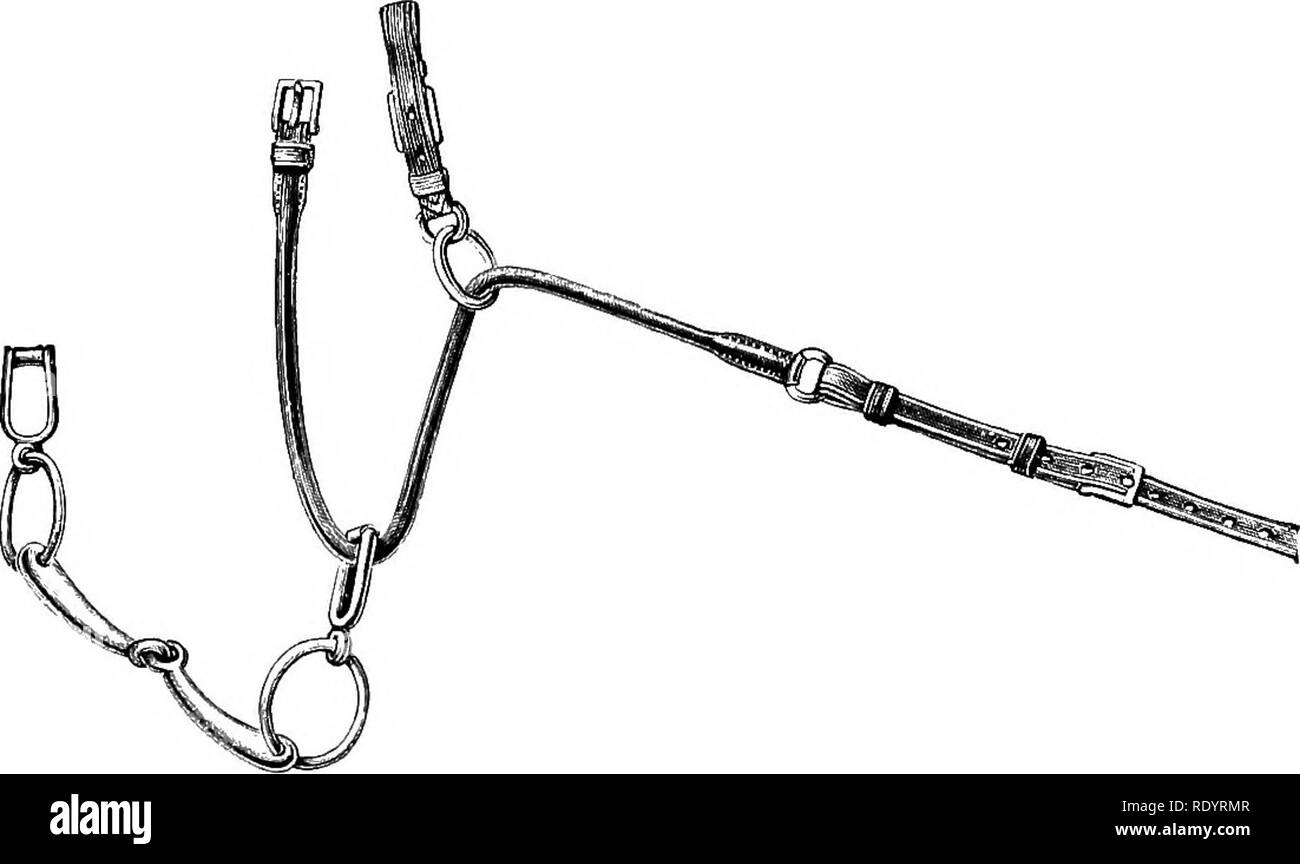 Bearing rein hires stock photography and images Alamy