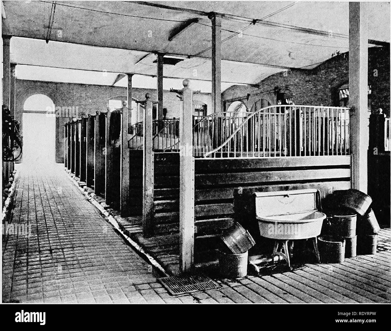 A Rudimentary Stable . Productive horse husbandry. Horses; Horses. STABLES 257. Fig. 130.βA ...