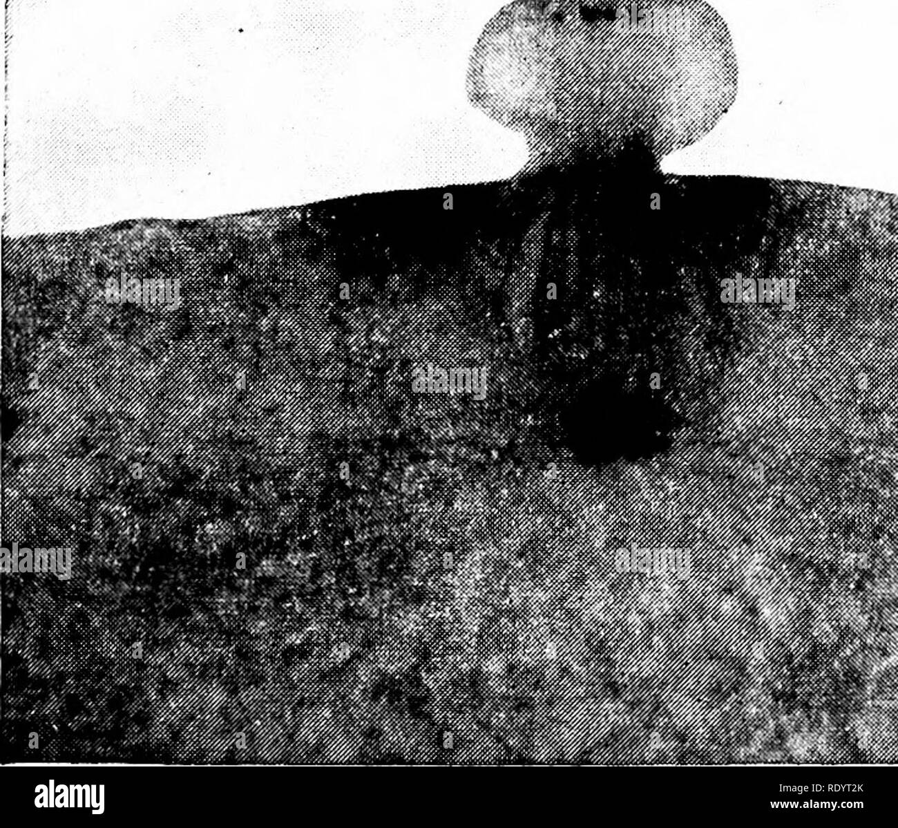 Female gamete Black and White Stock Photos & Images Alamy