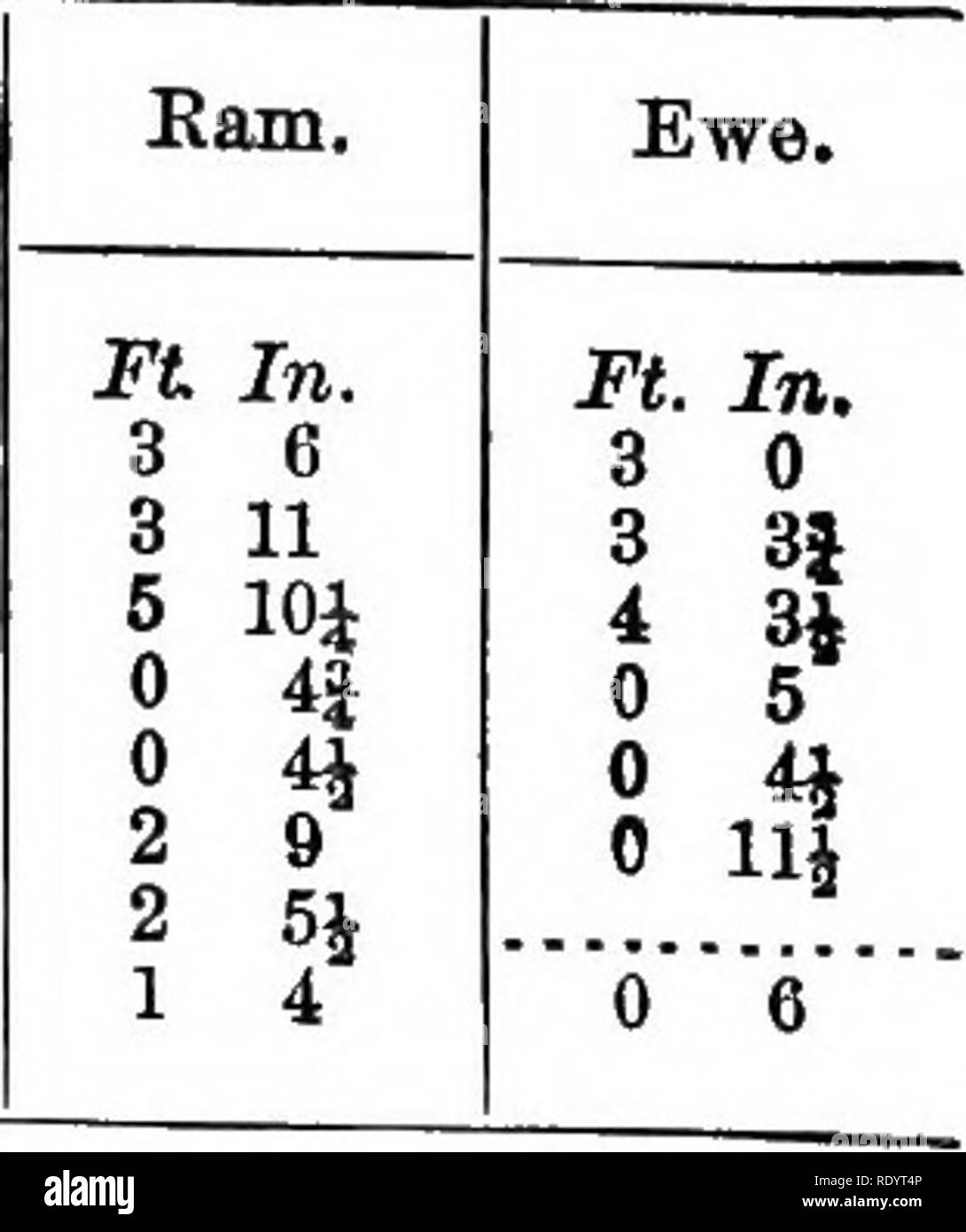 Very special old pale Black and White Stock Photos & Images Alamy