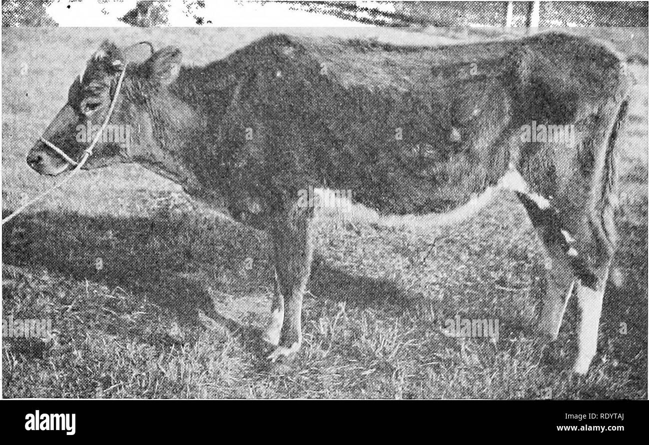 Uterus lining Black and White Stock Photos & Images Alamy