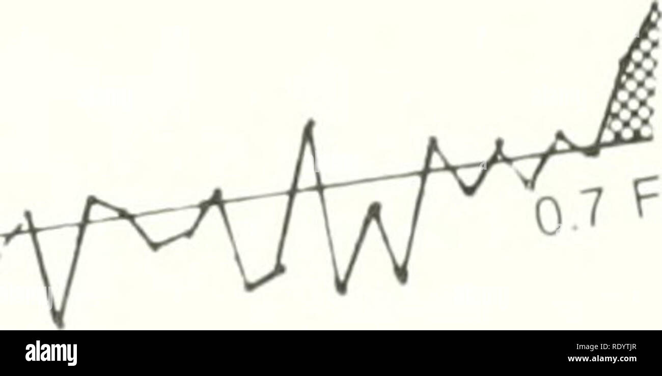 1905 1980 Stock Photos 1905 1980 Stock Images Alamy