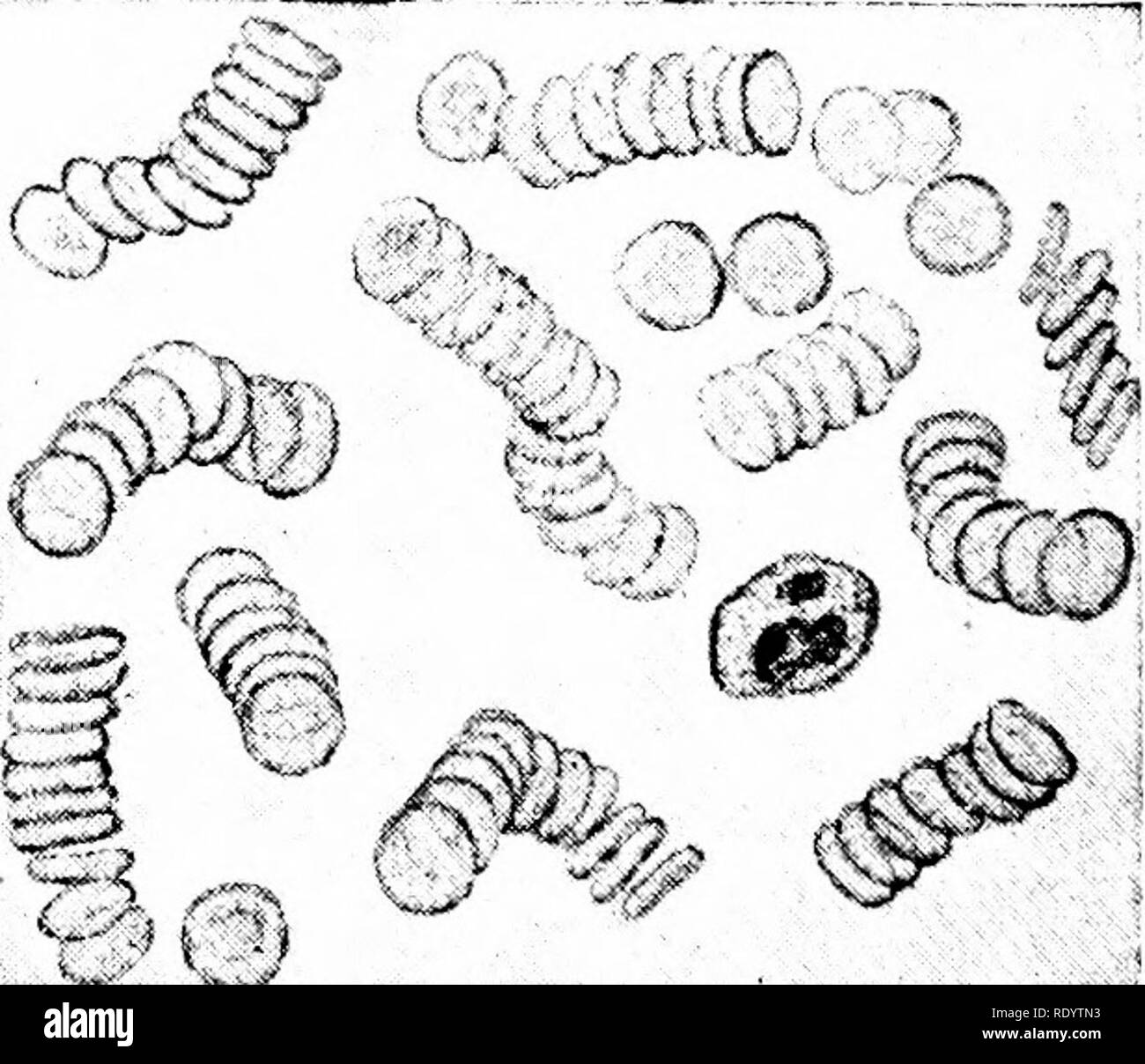 . Principles of modern biology. Biology. 2-Z F-A Fig. 17-2. Showing the ...