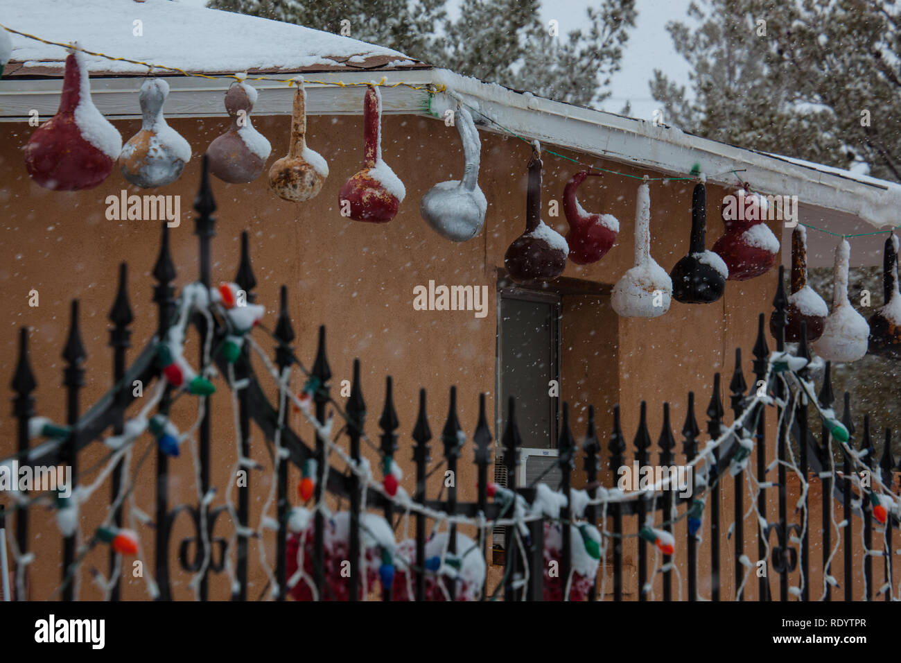 Snow Falls around festive gourds and christmas lights at a home in New