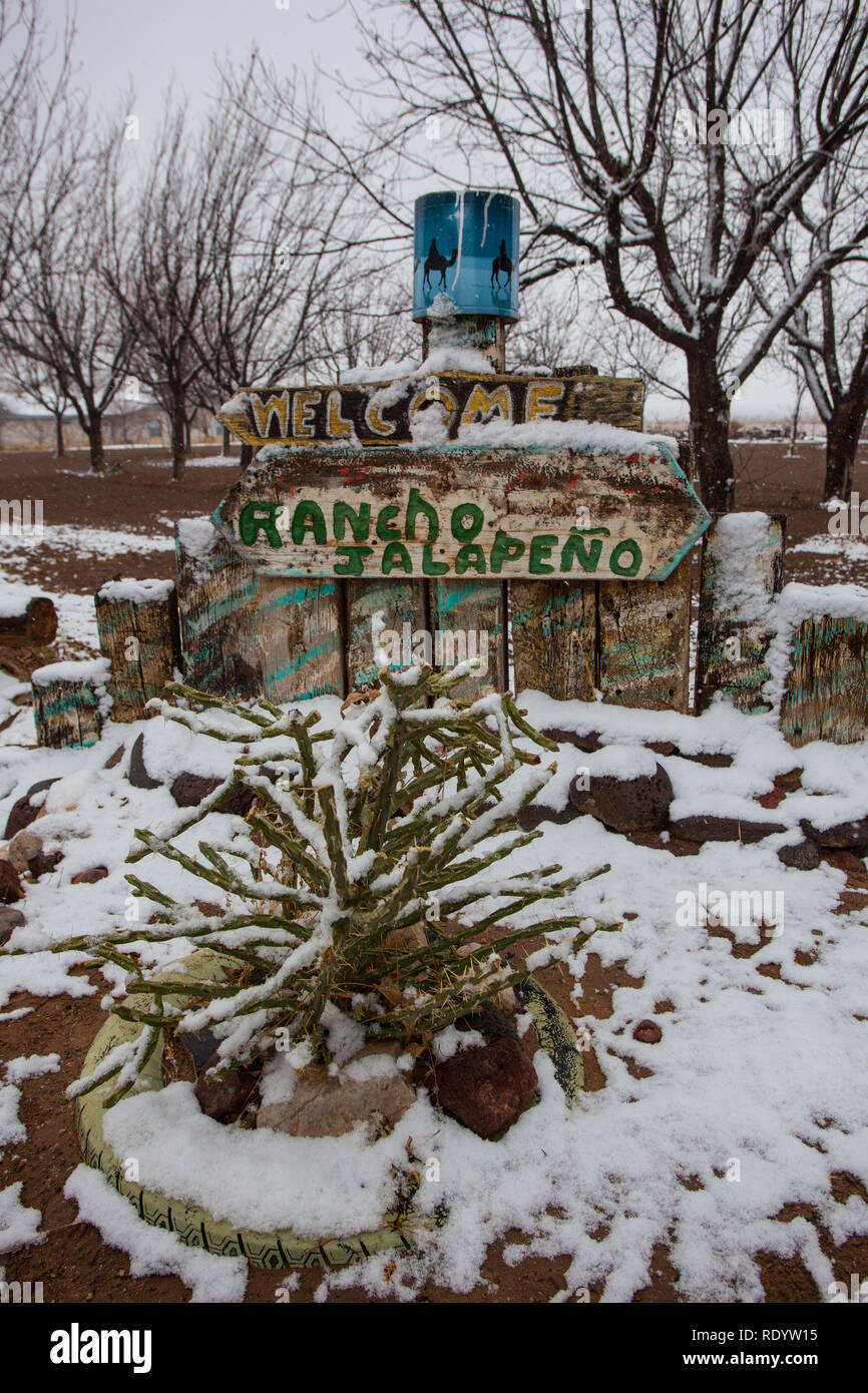 A splattering of snow around desert plants in the Mesilla Valley of New Mexico Stock Photo