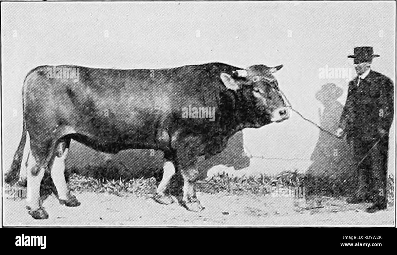 . Types and breeds of farm animals. Livestock. 468 CATTLE which they ...