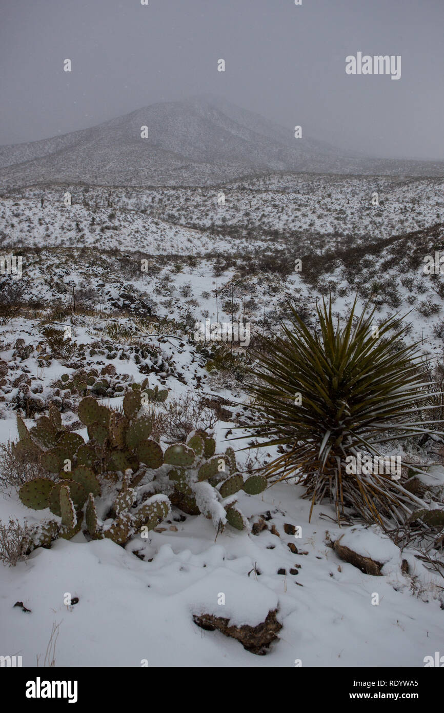 Snow in Anthony Gap, Dona Ana County, New Mexico, USA Stock Photo Alamy